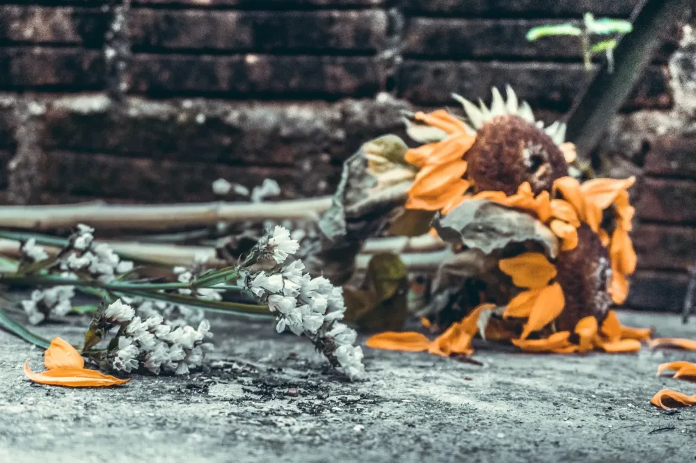 fleurs-tombe